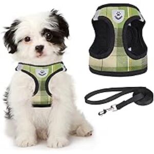 Cute green plaid dog harness with matching collar & leash, size small, NIB.